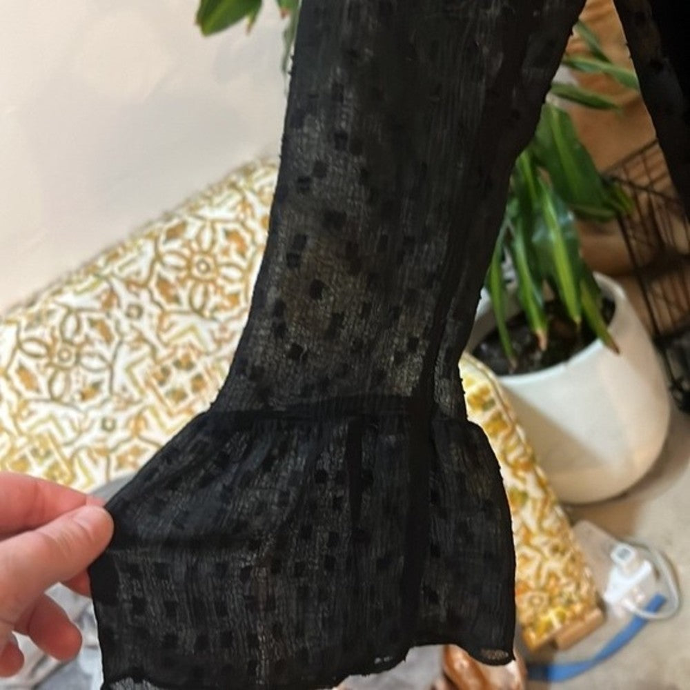 Zara Black Mesh Polka Dot Dress