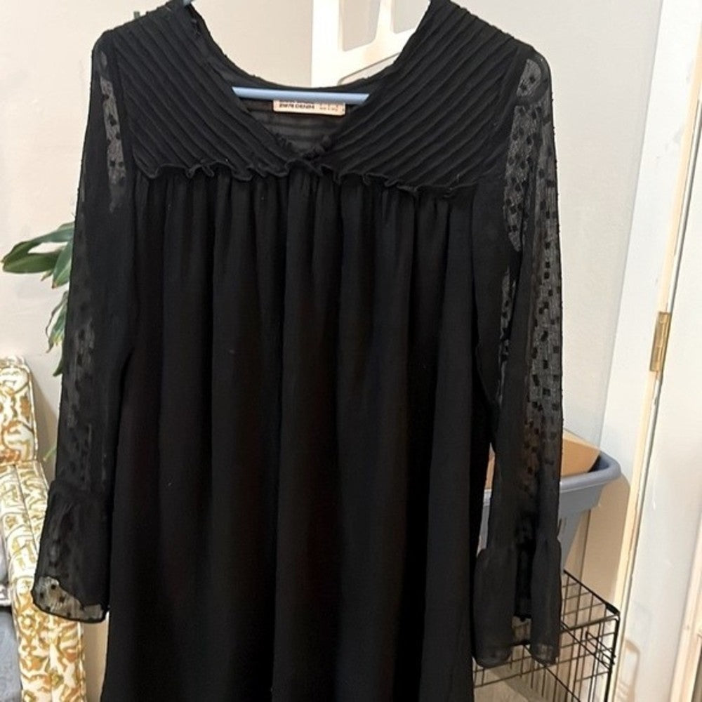 Zara Black Mesh Polka Dot Dress