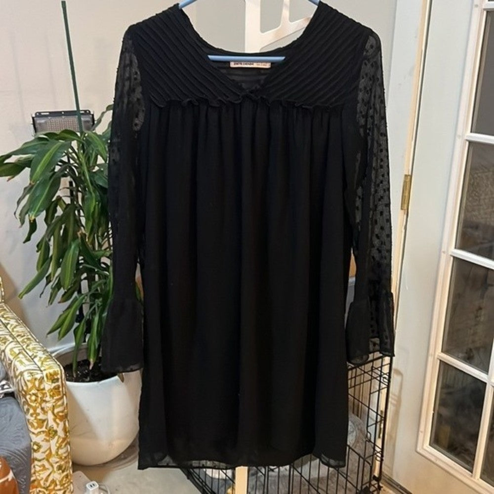 Zara Black Mesh Polka Dot Dress