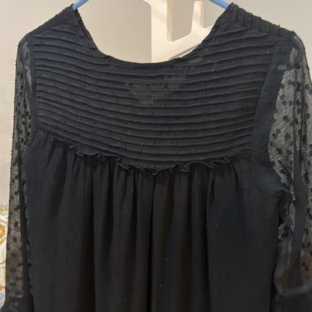 Zara Black Mesh Polka Dot Dress