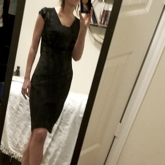 Banana Republic Fitted Sheath Dress Size 2 (XS)