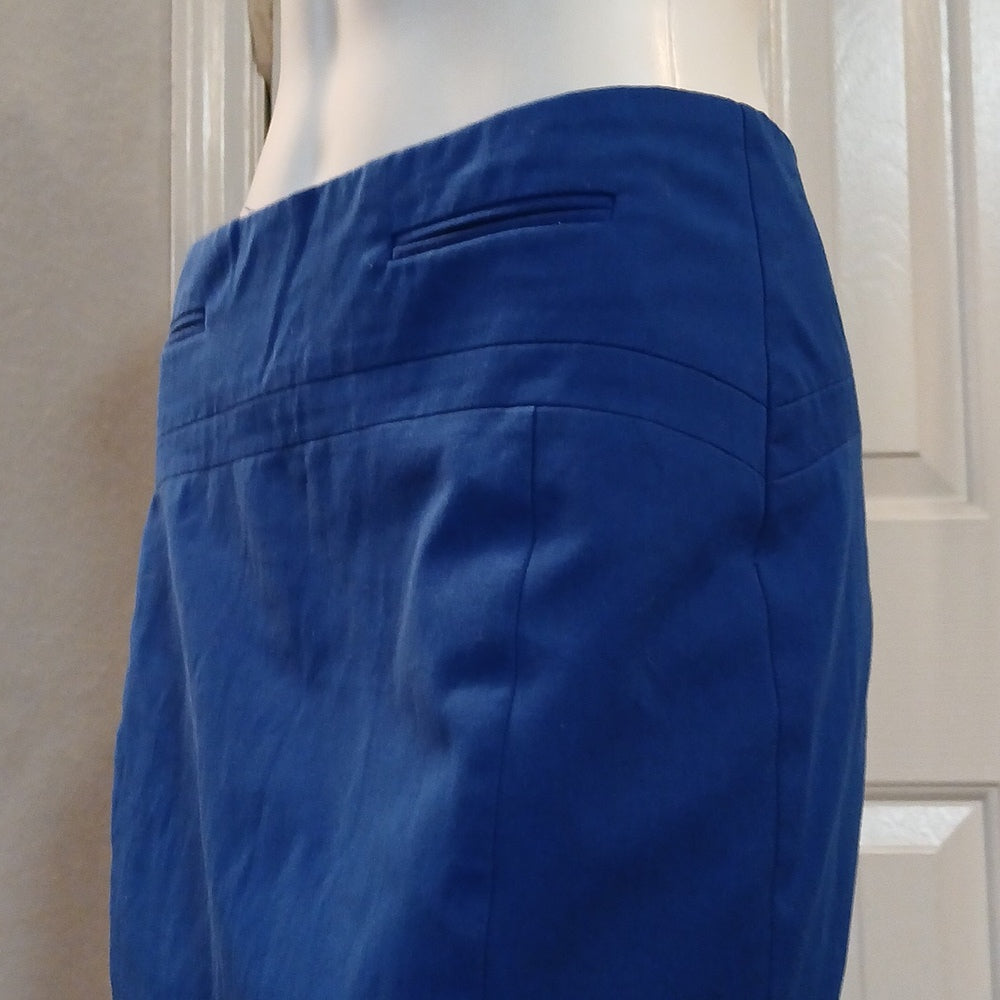 Express Blue Pencil Skirt with Pockets size 4