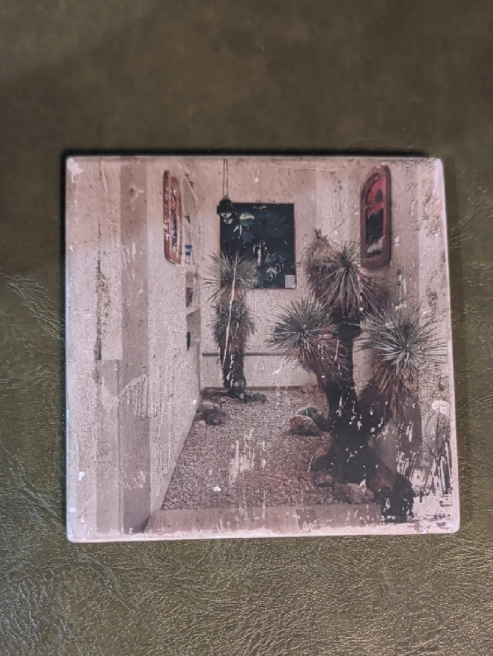 Desert Succulent Art Print Coaster- Green & Brown MCM Handcrafted
