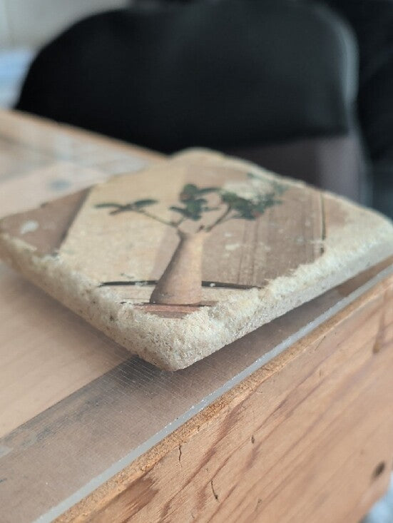 Vintage Botanical Stone Coaster with Potted Plant Image - Handcrafted