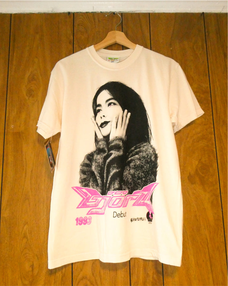 I Don't Know My Future - Bjork