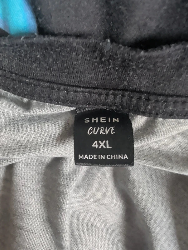 Shein Y2K Retro Blue Flame Cropped Tee Women's 4XL