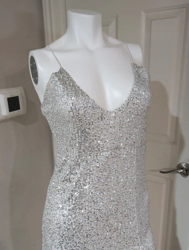 Nwt CBR Silver Sequin Midi Dress Women's Small