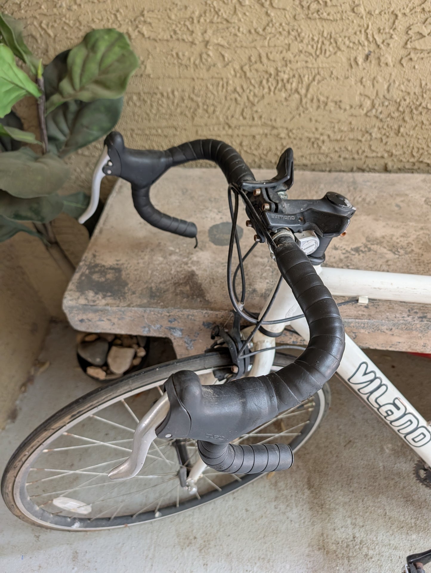 Vilano 21 Speed Street Bike