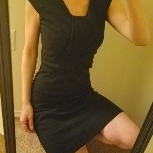 Banana Republic Fitted Sheath Dress Size 2 (XS)