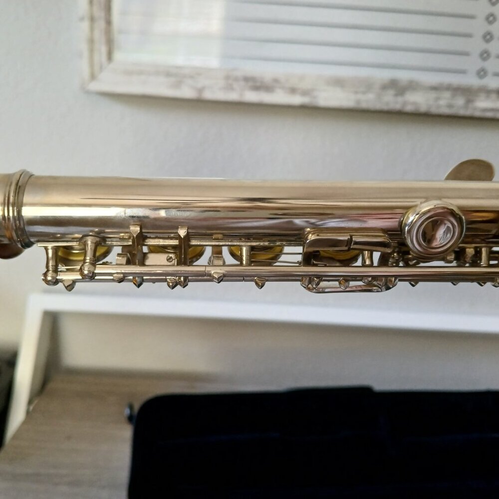 Glory GFL-130 Silver Flute with Case, Strap and Accessories