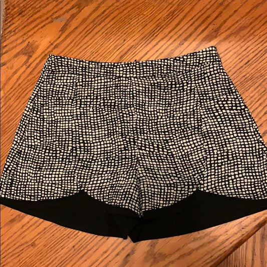 Ark & Co. Stylish Black and White Women's Shorts