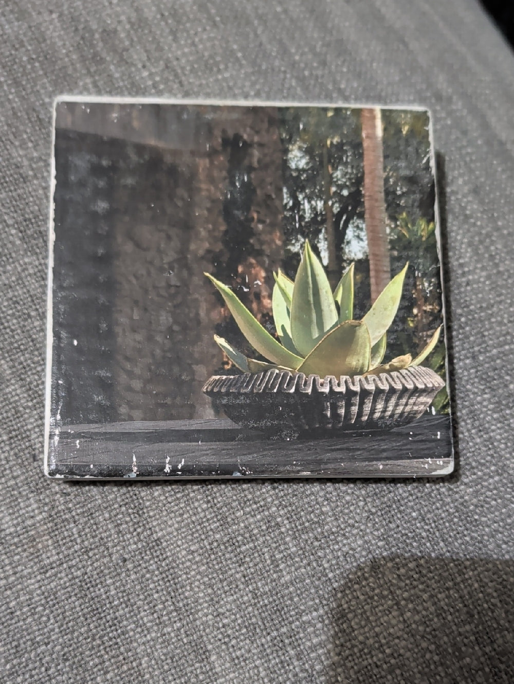 Succulent Art Tile Coaster with Green Agave Print Handcrafted