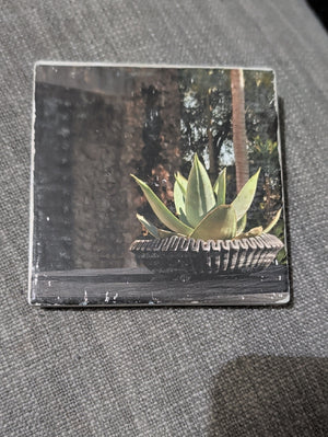 Succulent Art Tile Coaster with Green Agave Print Handcrafted