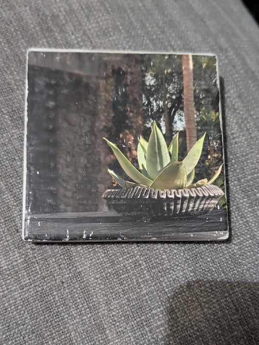 Succulent Art Tile Coaster with Green Agave Print Handcrafted