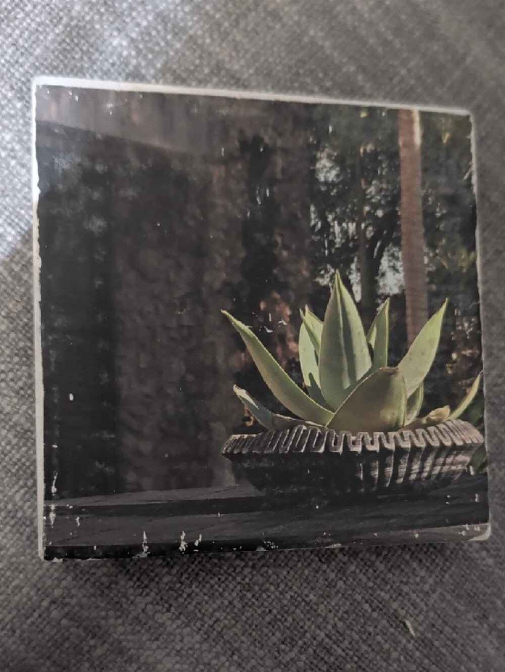 Succulent Art Tile Coaster with Green Agave Print Handcrafted