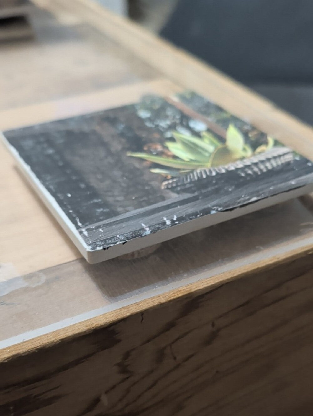 Succulent Art Tile Coaster with Green Agave Print Handcrafted