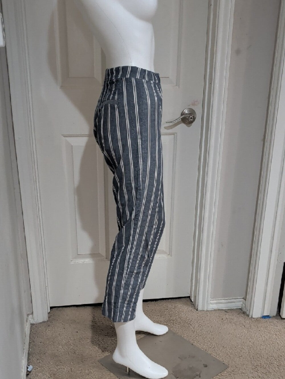 John Galt Striped Cropped Women's Pants - Blue XS/S