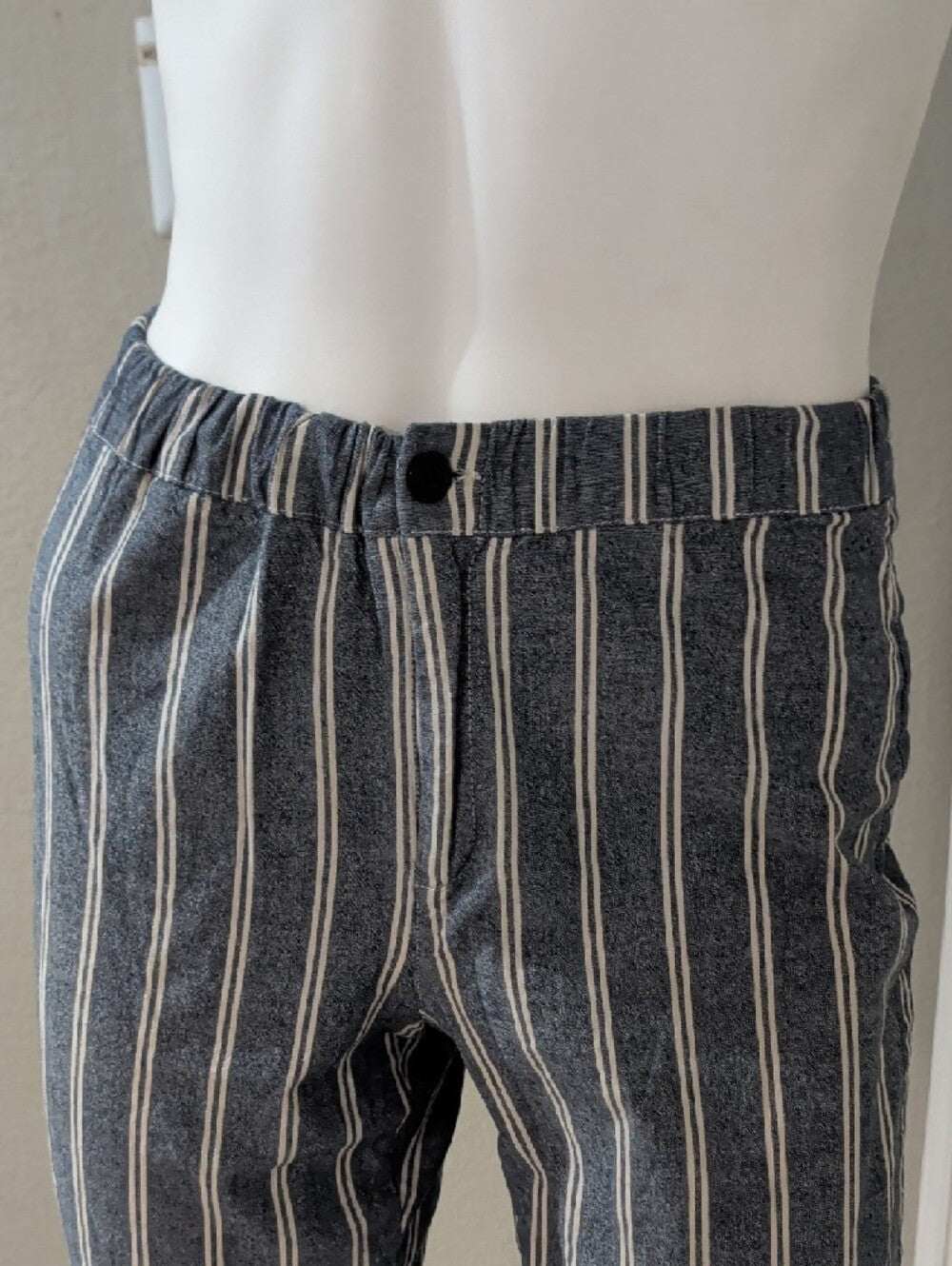 John Galt Striped Cropped Women's Pants - Blue XS/S