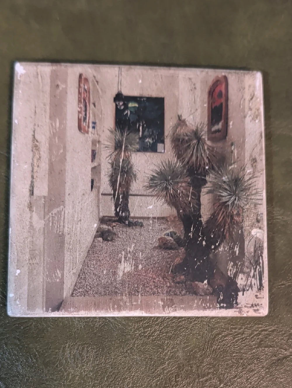 Desert Succulent Art Print Coaster- Green & Brown MCM Handcrafted