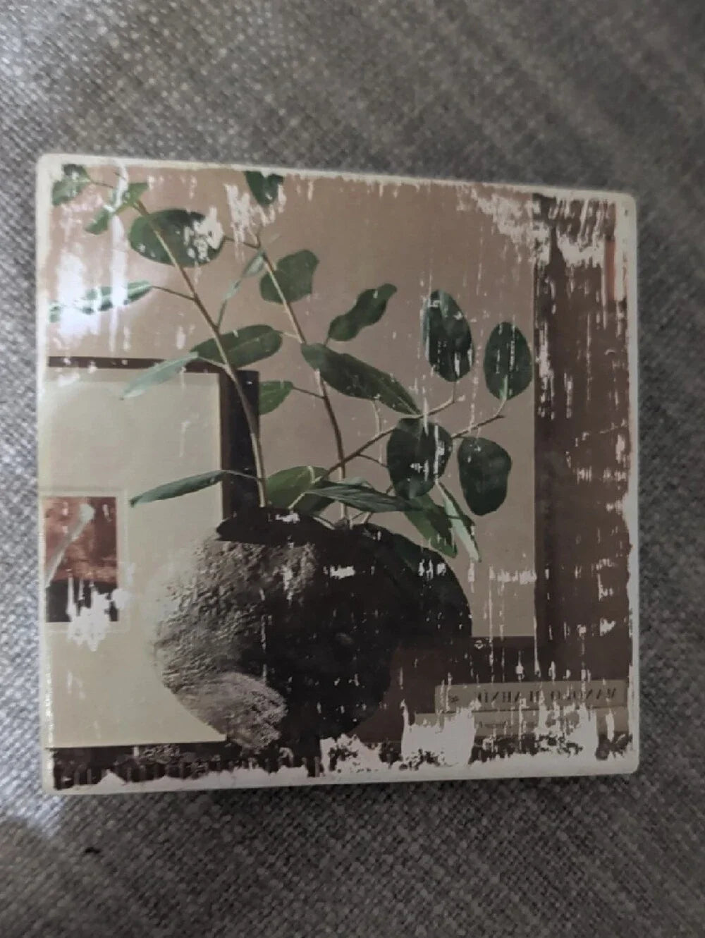 Vintage Botanical Art Tile Coaster-Green Plant on Neutral Background Handcrafted