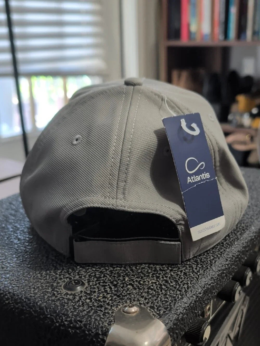 NWT 'Africa' Embroidered Cap - Light Gray