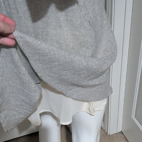 Zara Elegant Sparkly Gray Mini Dress Small Keyhole Back