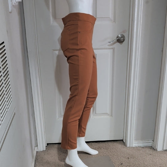 89th & Madison Rust Orange Stretch Skinny Pants PM