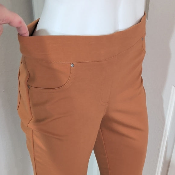 89th & Madison Rust Orange Stretch Skinny Pants PM