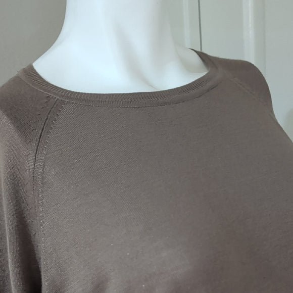 Zara Women's Khaki Brown Ribbed Knit Long Sleeve Crewneck Solid Crop Top Size S