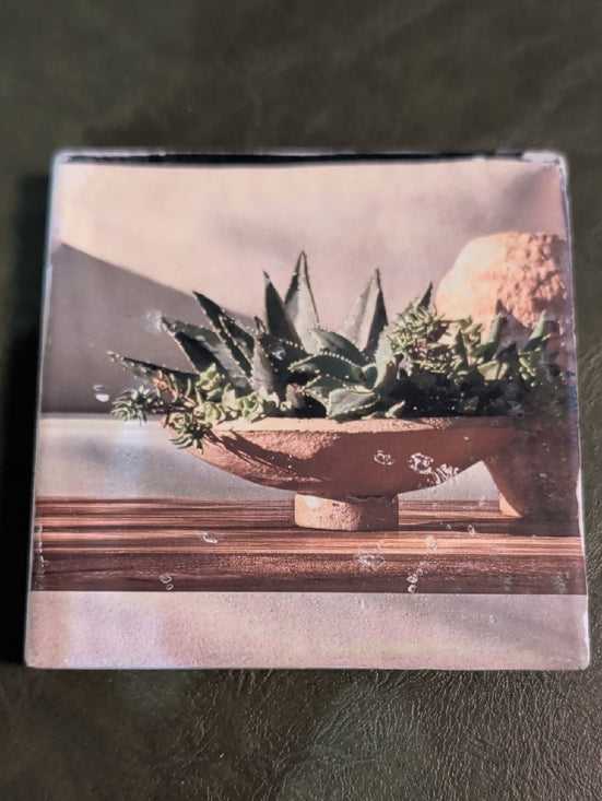 Succulent Bowl Decorative Coaster - Green & Tan MCM Handmade
