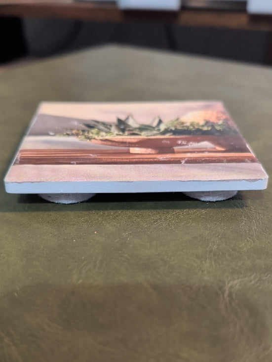 Succulent Bowl Decorative Coaster - Green & Tan MCM Handmade