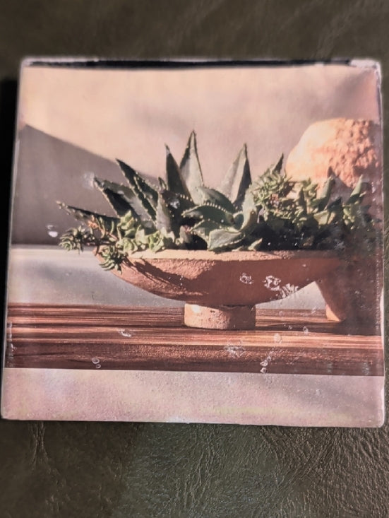 Succulent Bowl Decorative Coaster - Green & Tan MCM Handmade