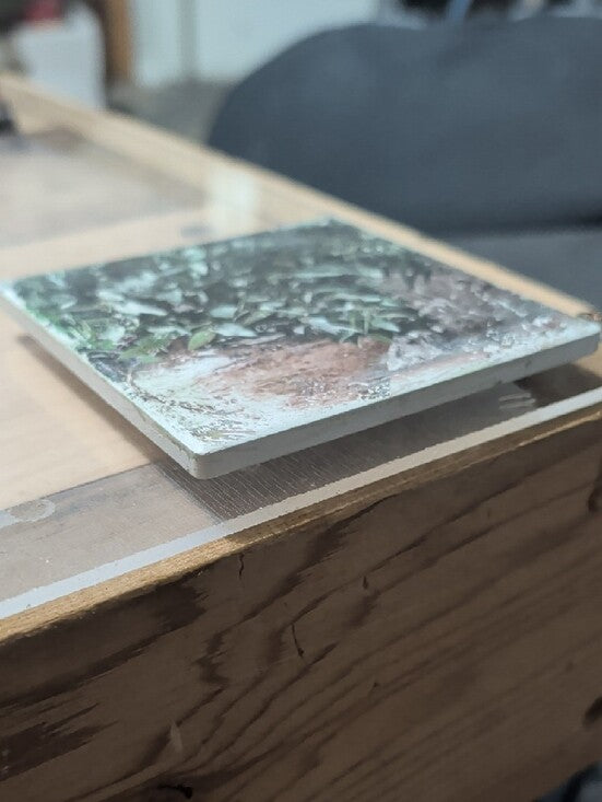 Indoor Green Plant Art Print Coaster Handcrafted
