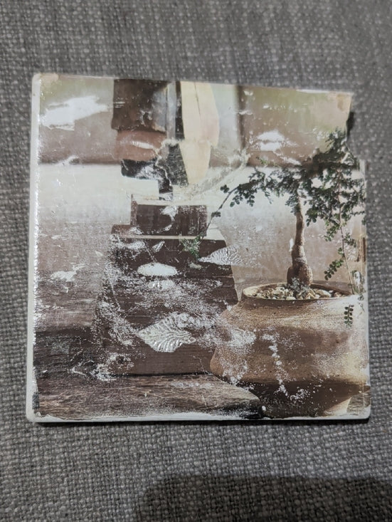 Decorative Ceramic Tile Coaster with Bonsai Print - Brown & Tan Handcrafted
