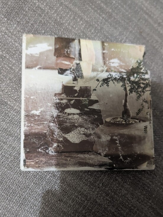 Decorative Ceramic Tile Coaster with Bonsai Print - Brown & Tan Handcrafted
