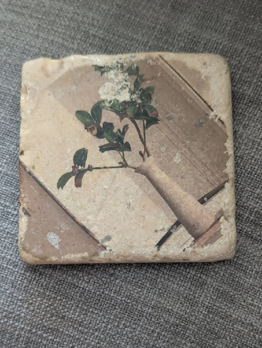 Vintage Botanical Stone Coaster with Potted Plant Image - Handcrafted