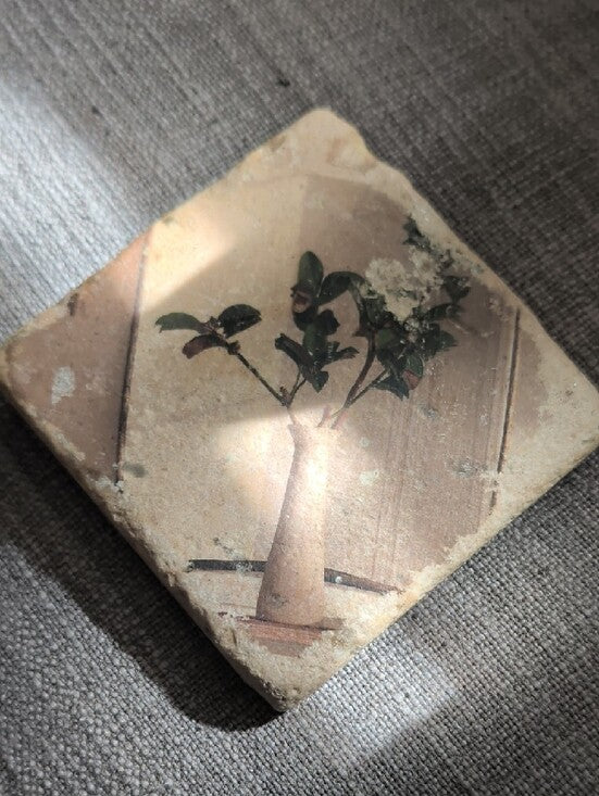 Vintage Botanical Stone Coaster with Potted Plant Image - Handcrafted