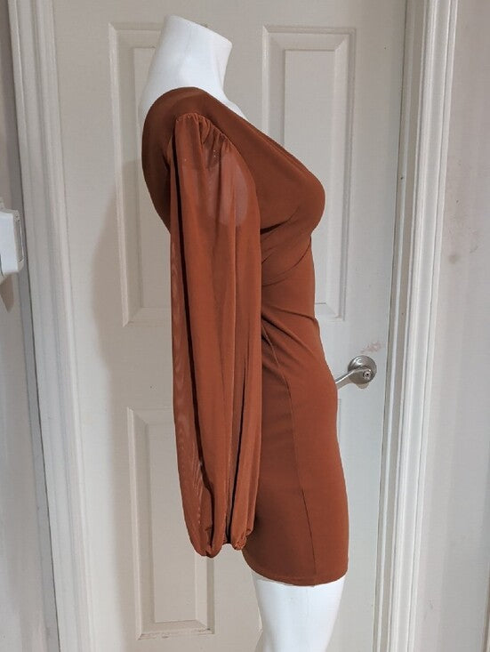 Long Sleeve Deep V Bodycon Dress in Burnt Orange Women's Small