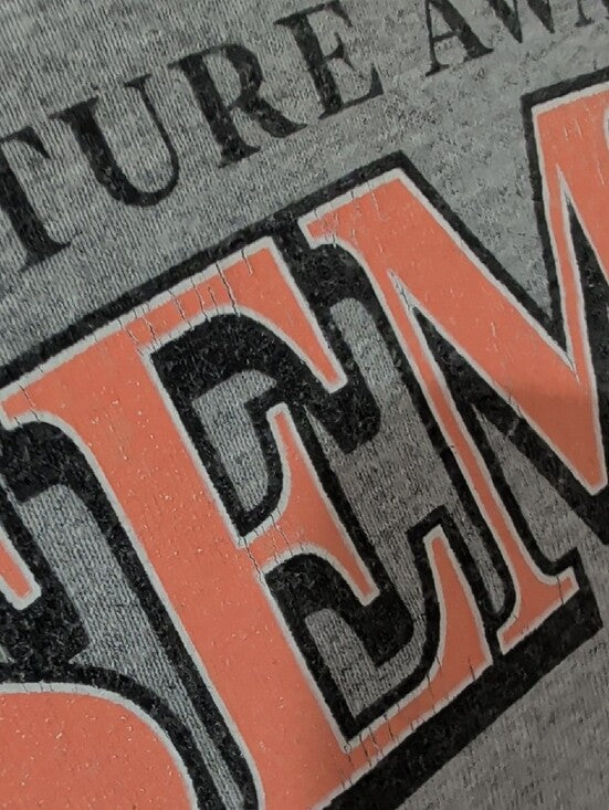 Yosemite National Park Graphic Tee - Gray with Coral & Teal Print Men's Medium