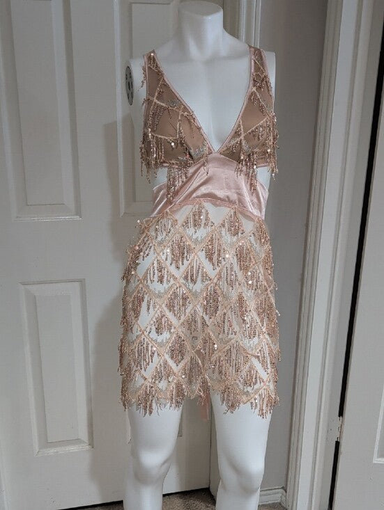 Bella Barnett Sheer Sequin Fringe V-Neck Mini Dress in Blush Women's Small