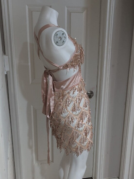 Bella Barnett Sheer Sequin Fringe V-Neck Mini Dress in Blush Women's Small
