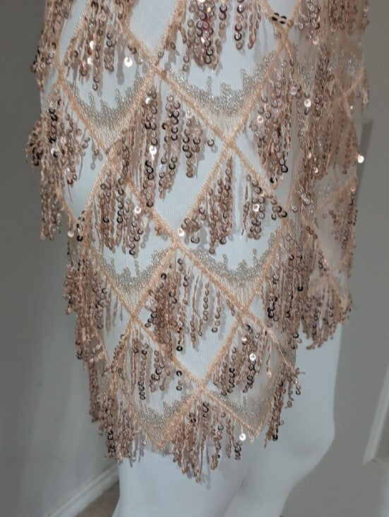 Bella Barnett Sheer Sequin Fringe V-Neck Mini Dress in Blush Women's Small