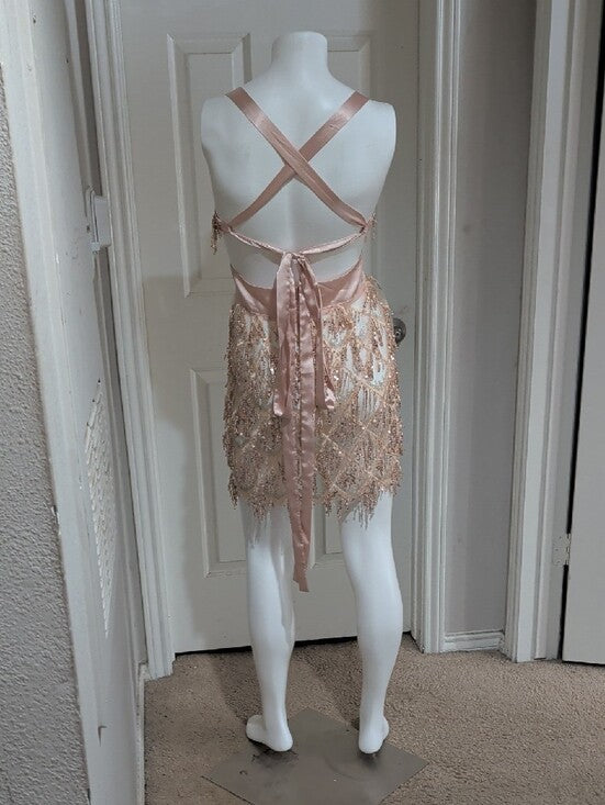 Bella Barnett Sheer Sequin Fringe V-Neck Mini Dress in Blush Women's Small