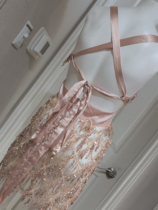 Bella Barnett Sheer Sequin Fringe V-Neck Mini Dress in Blush Women's Small