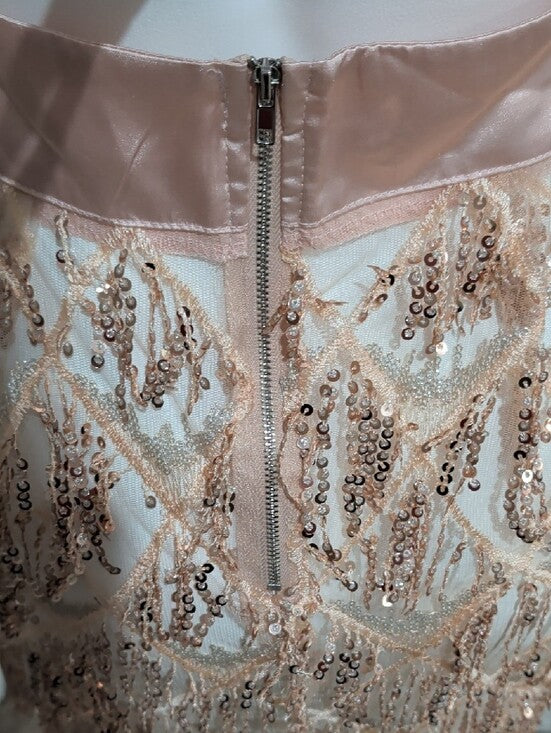 Bella Barnett Sheer Sequin Fringe V-Neck Mini Dress in Blush Women's Small