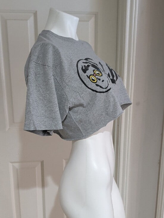 Billionaire Boys Club Gray Graphic Crop Rocketman Tee Size Large Unisex