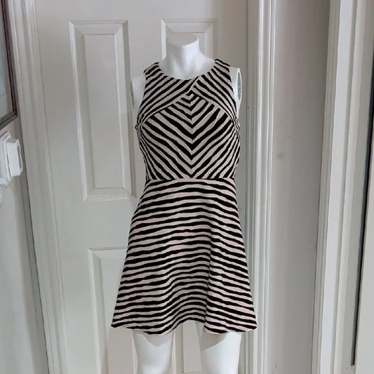 Xhilaration Zebra Print Mini Dress